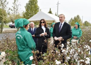 “100 manat, hər gün bir evə?”